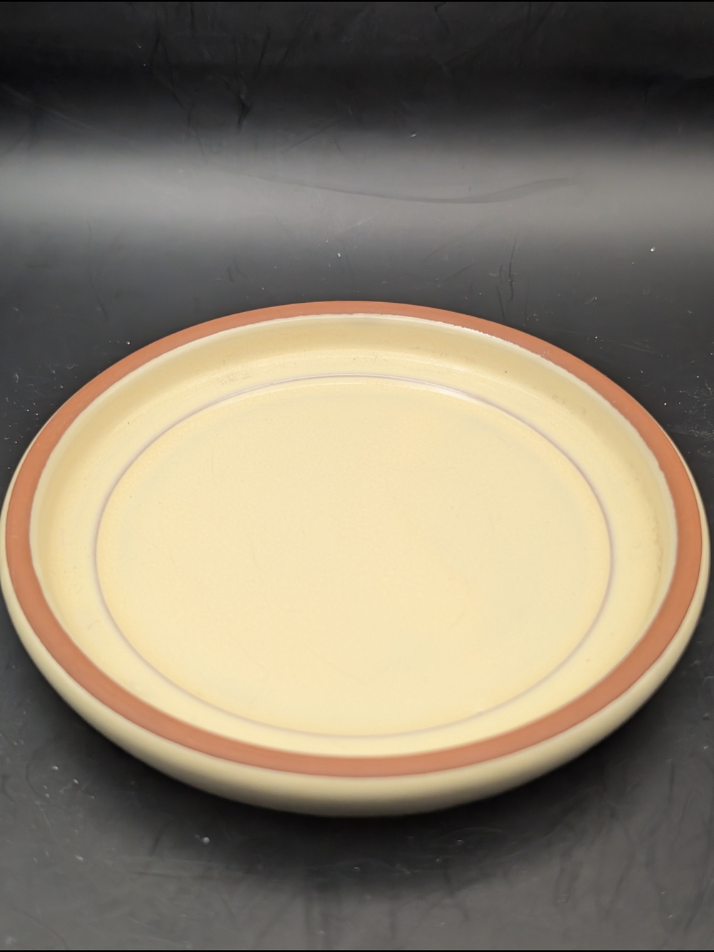 Ceramic Made In Poland Plant Under plate
